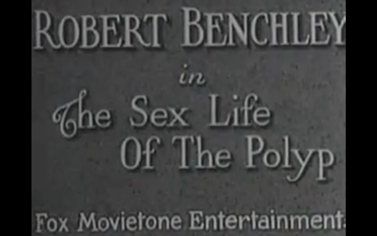 Screen Shot 2017-06-29 at 9.28.57 PM