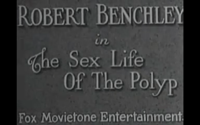 Screen Shot 2017-06-29 at 9.28.57 PM