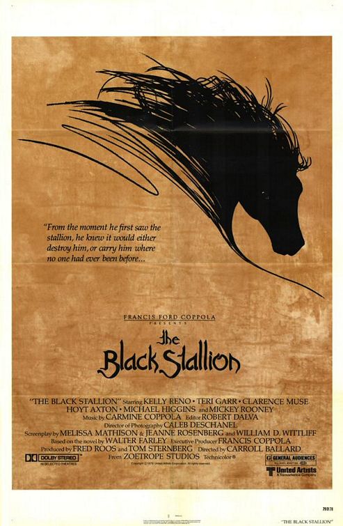 black_stallion