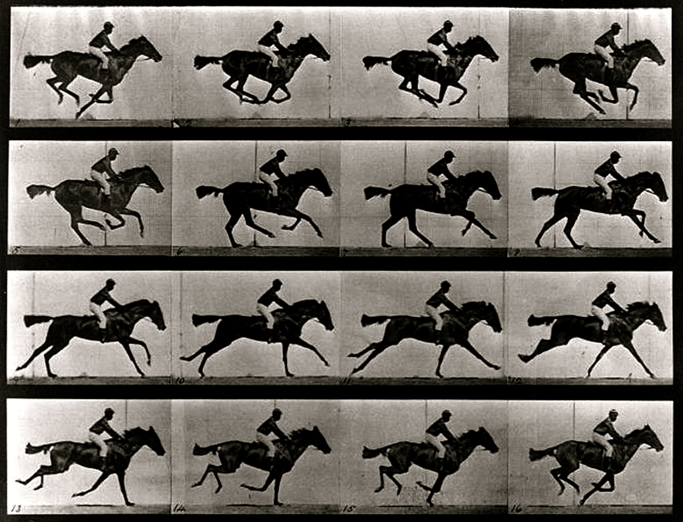 eadweard-muybridge-zoopraxographer